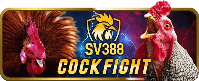 Video Slot mm999