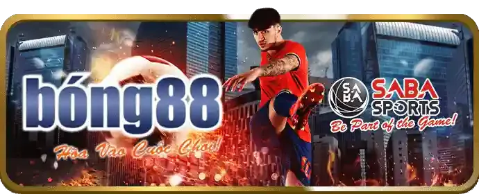 Giao diện ứng dụng cá cược thể thao mm999 trên điện thoại di động